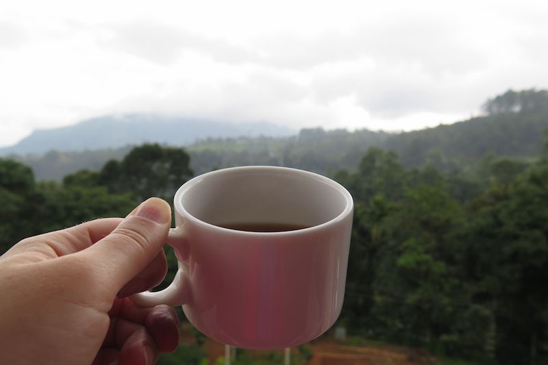 Sri Lanka'da Çay