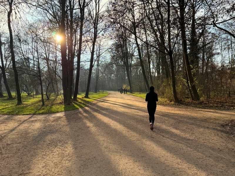 İngiliz Bahçesi (Englischen Garten)