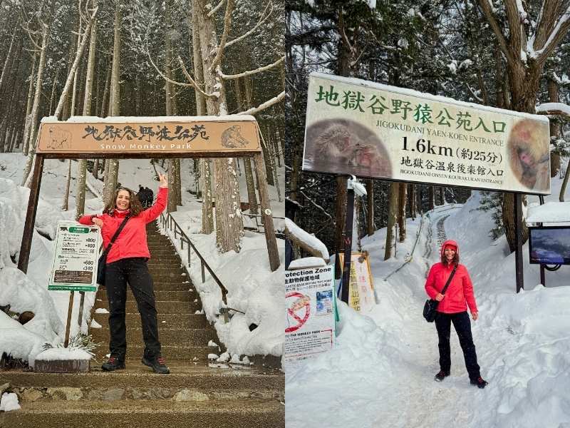 Snow Monkey Park